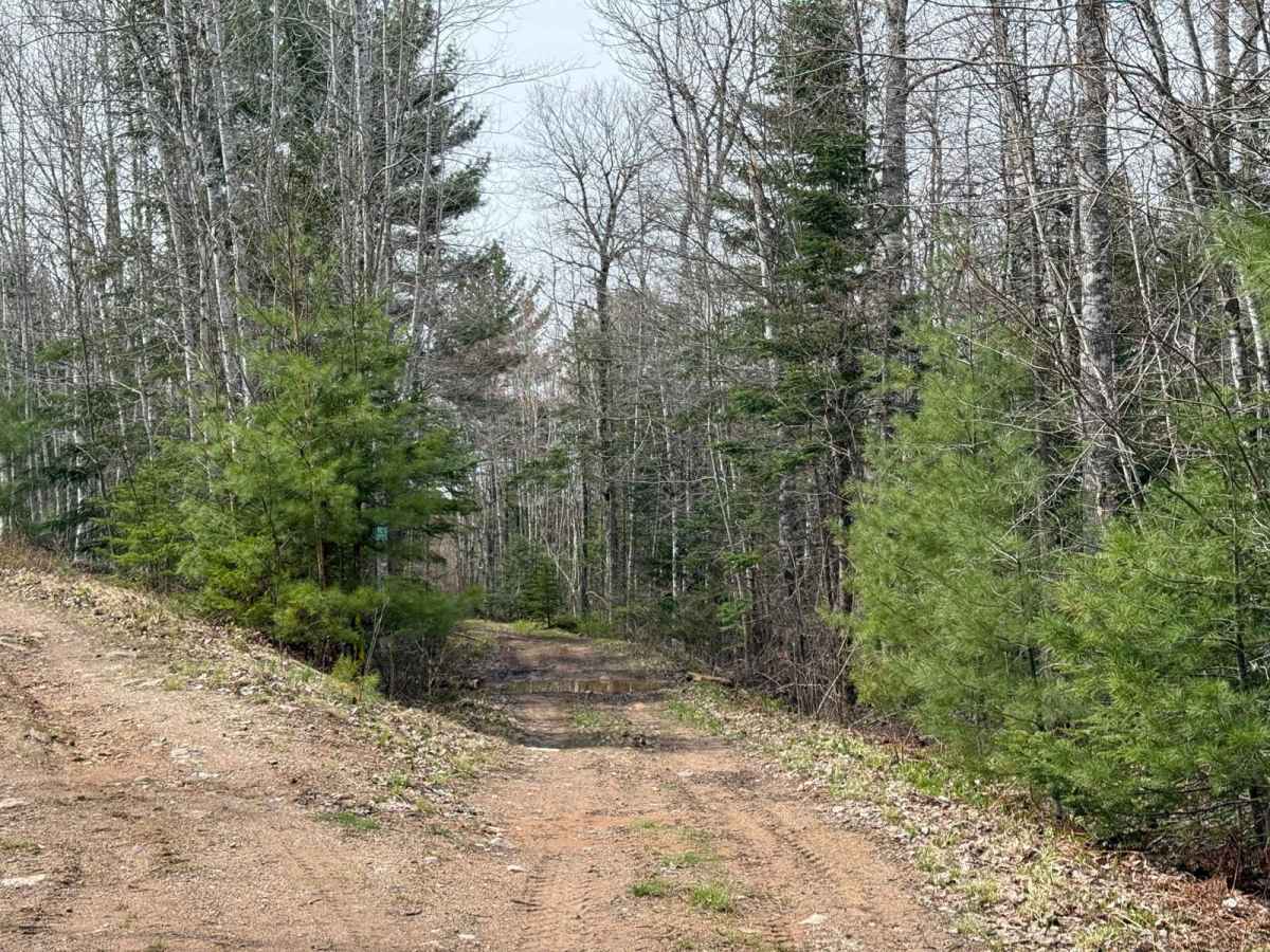 Dean Chapter Trail photo 6