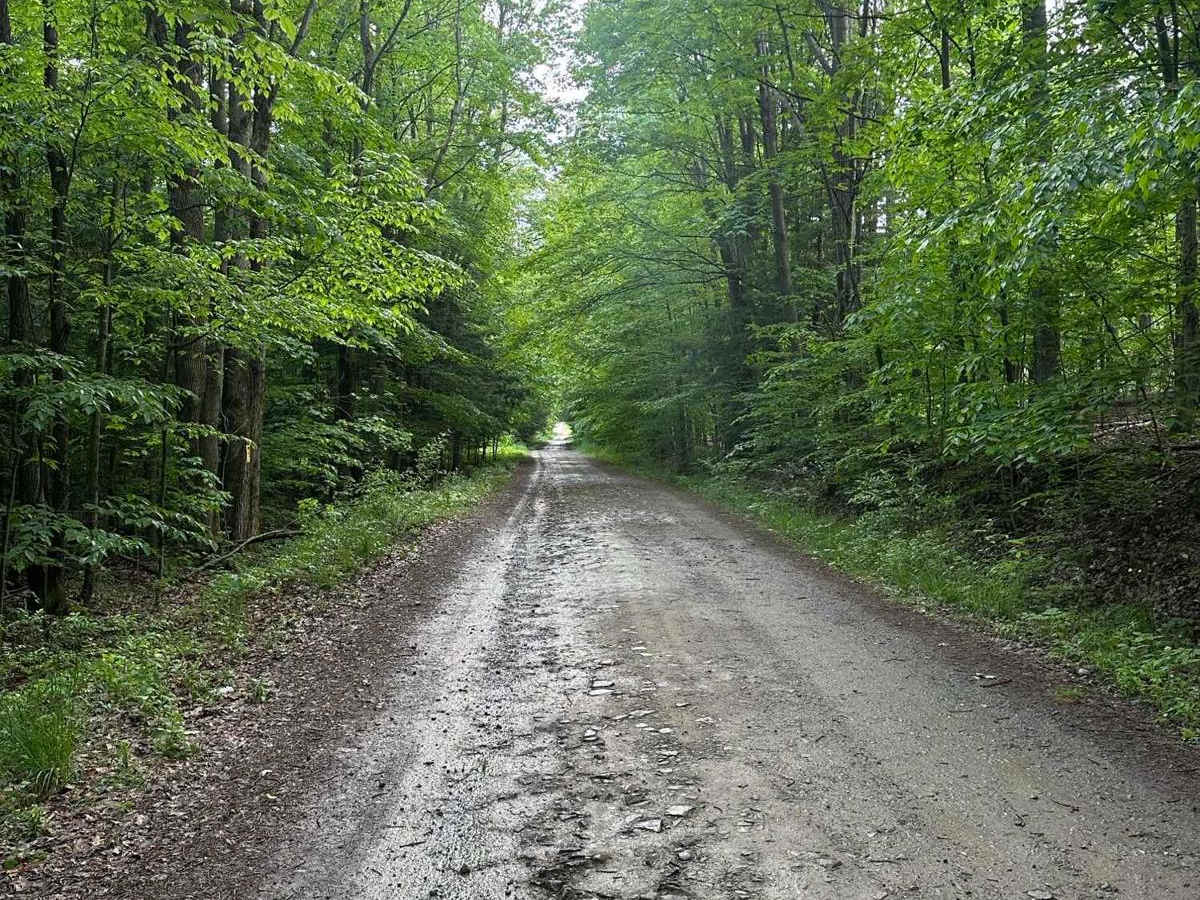 Scoville Road trail photo