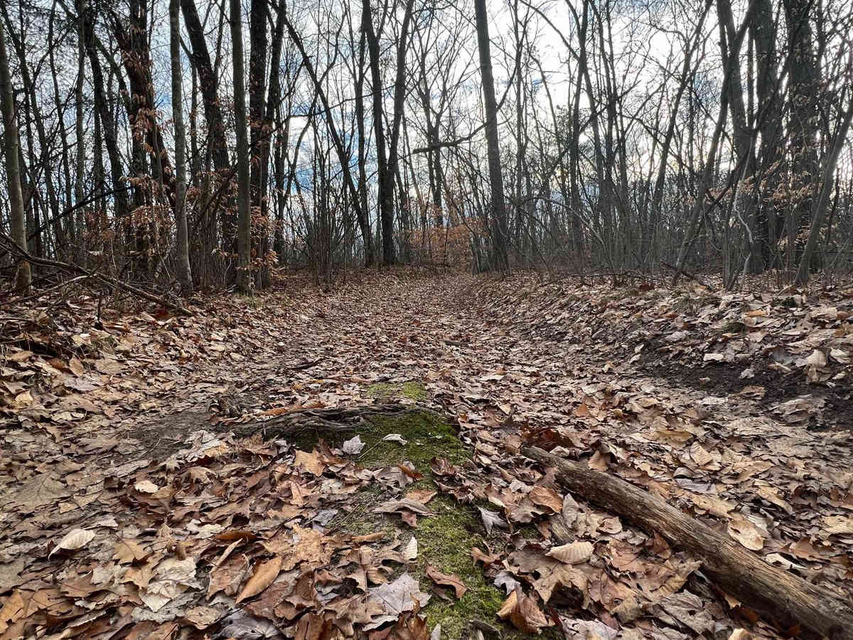 NFS 5179 photo 2
