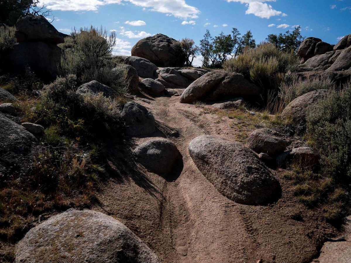 Back In trail photo