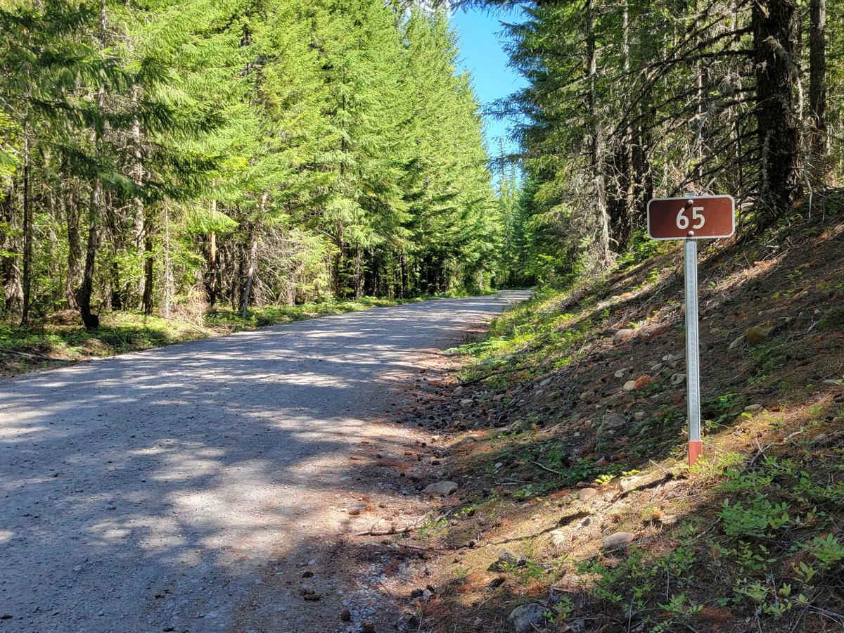 FR 65 - Panther Creek trail photo