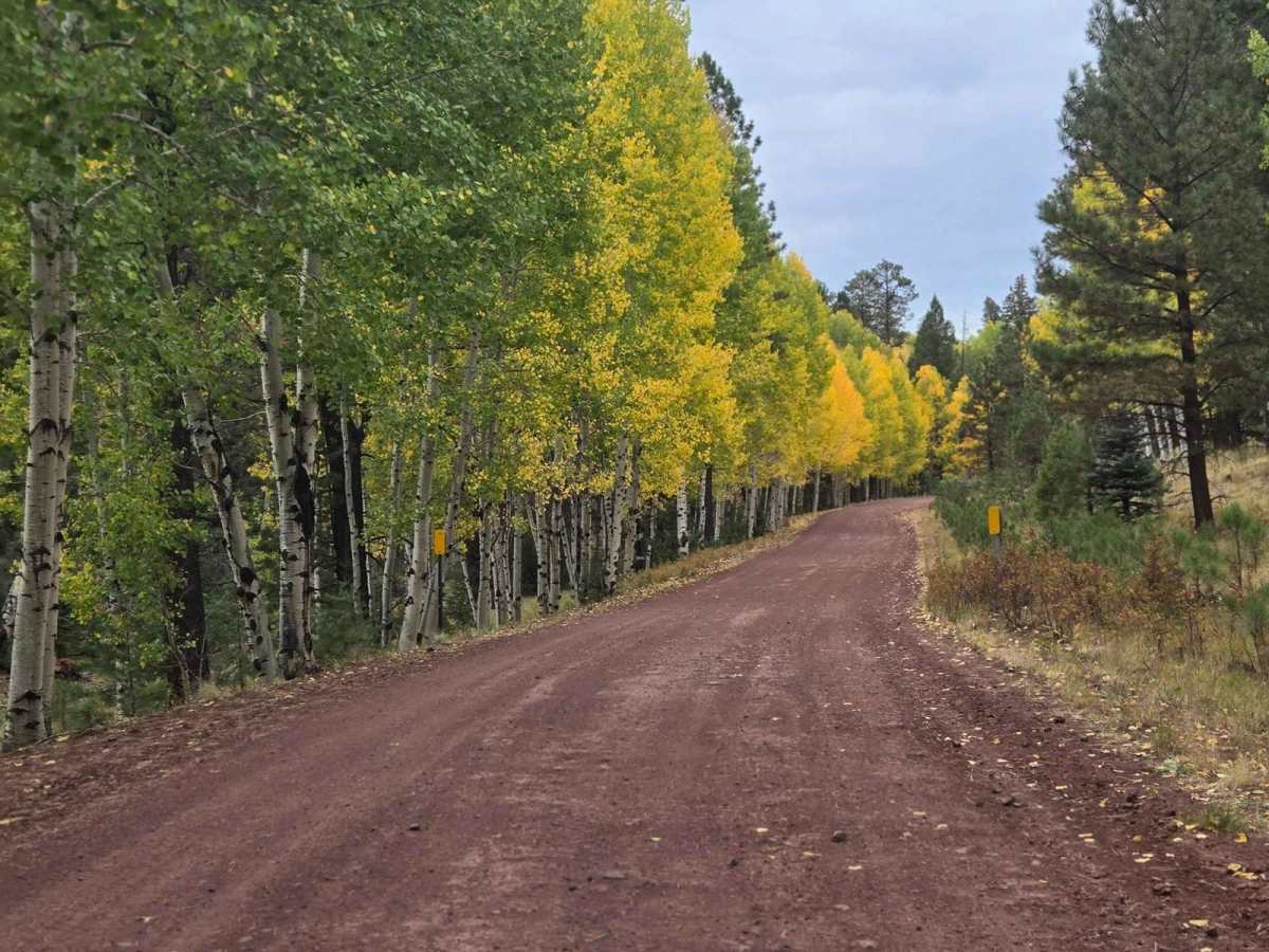 Hall Creek Road photo 5