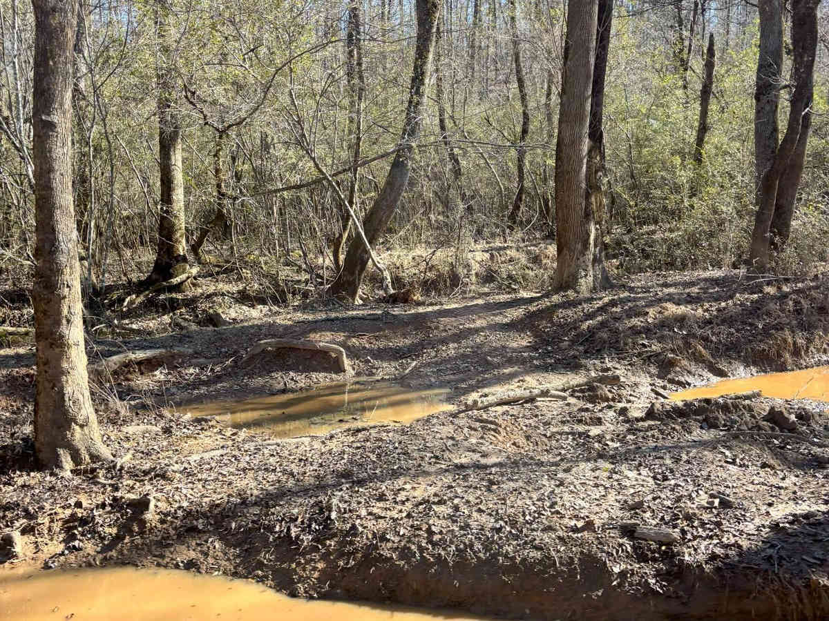 50 trail photo