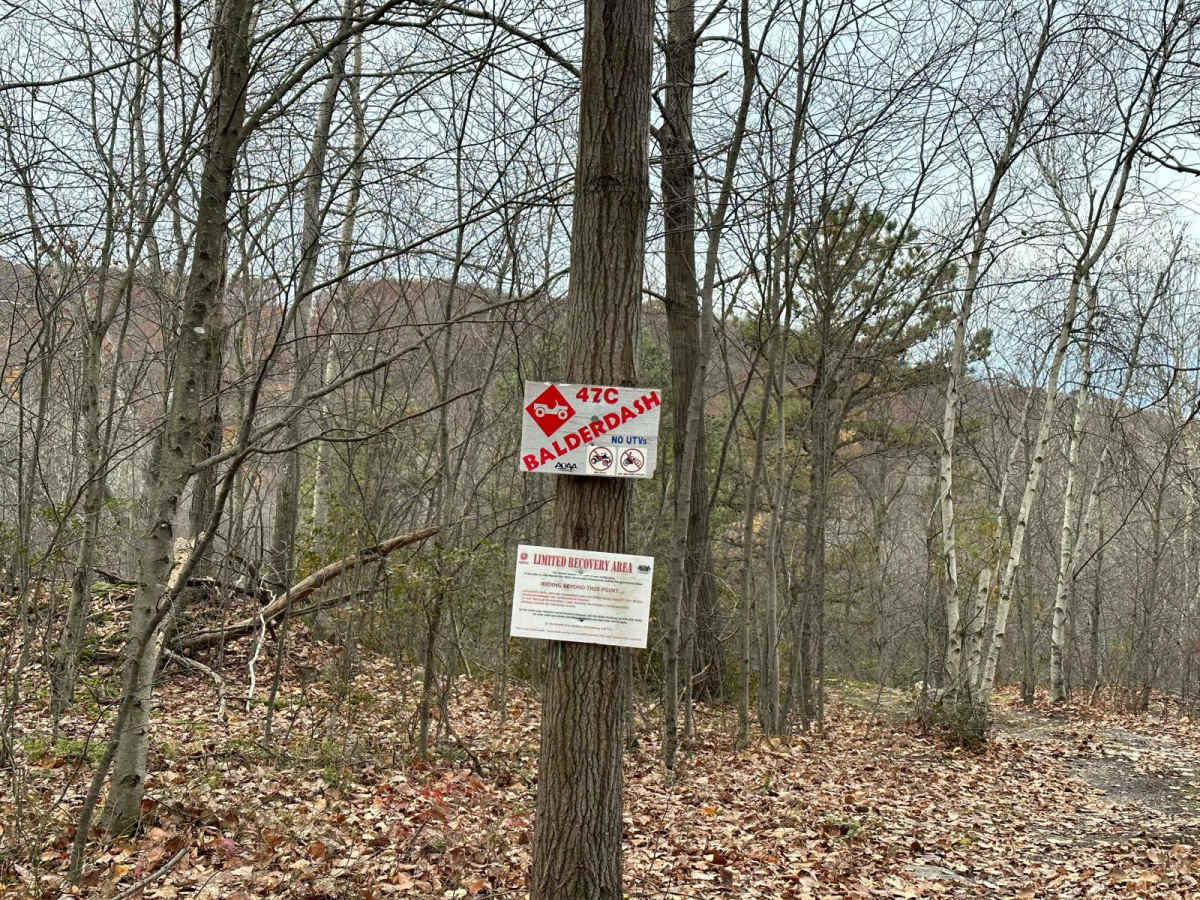 47 Black trail photo