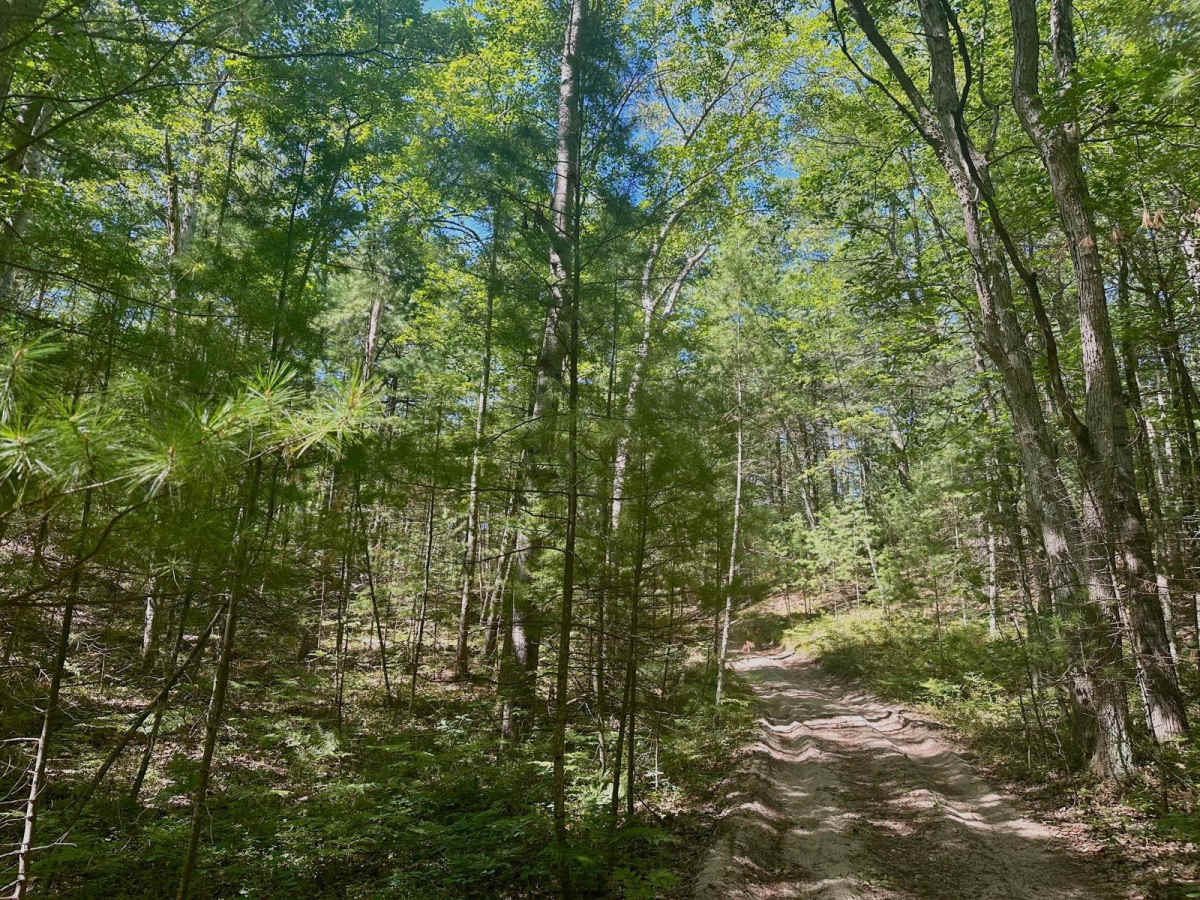 Deer Lake Road photo 5