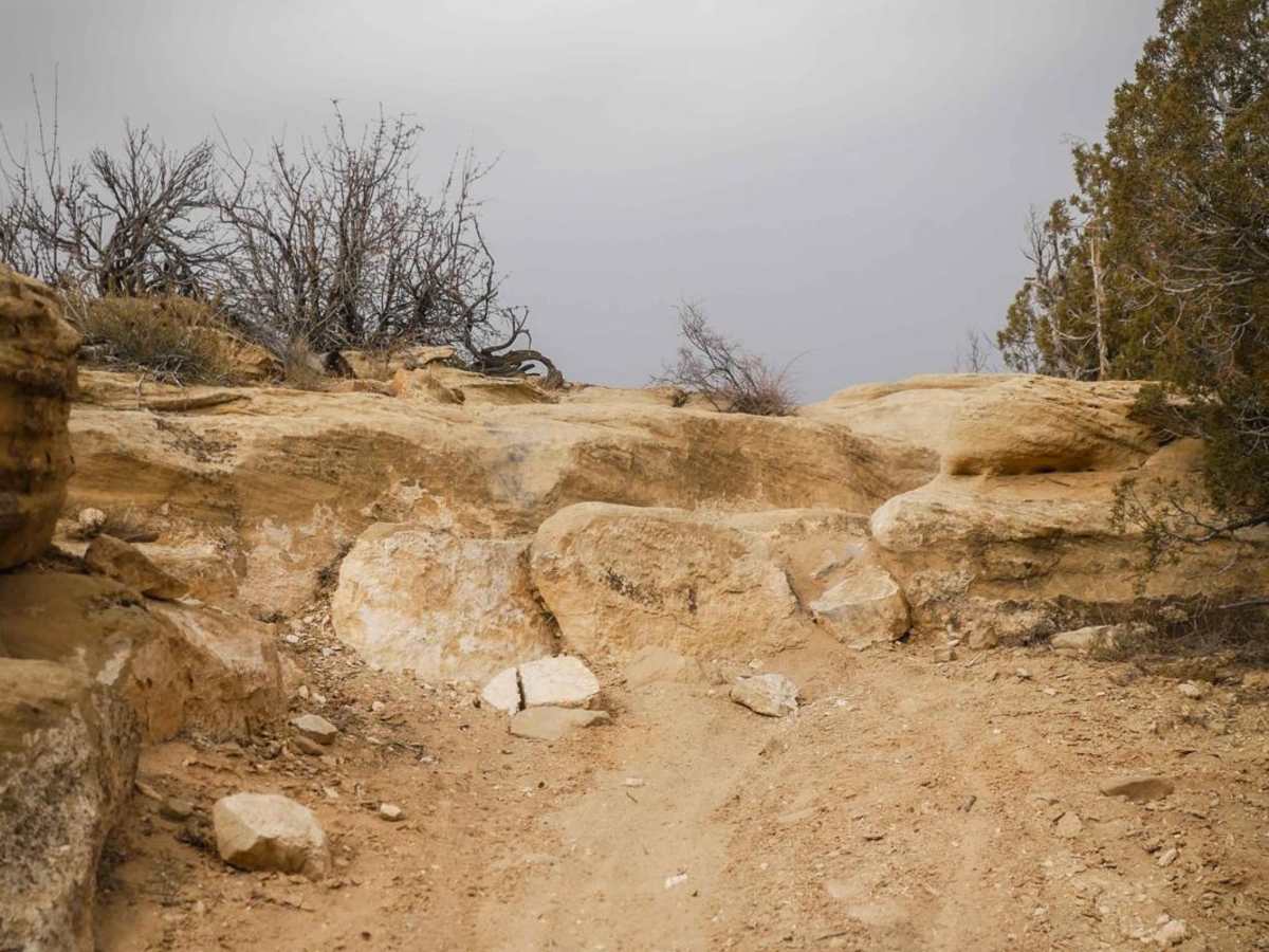 Westwater Mesa Loop Trail photo 3