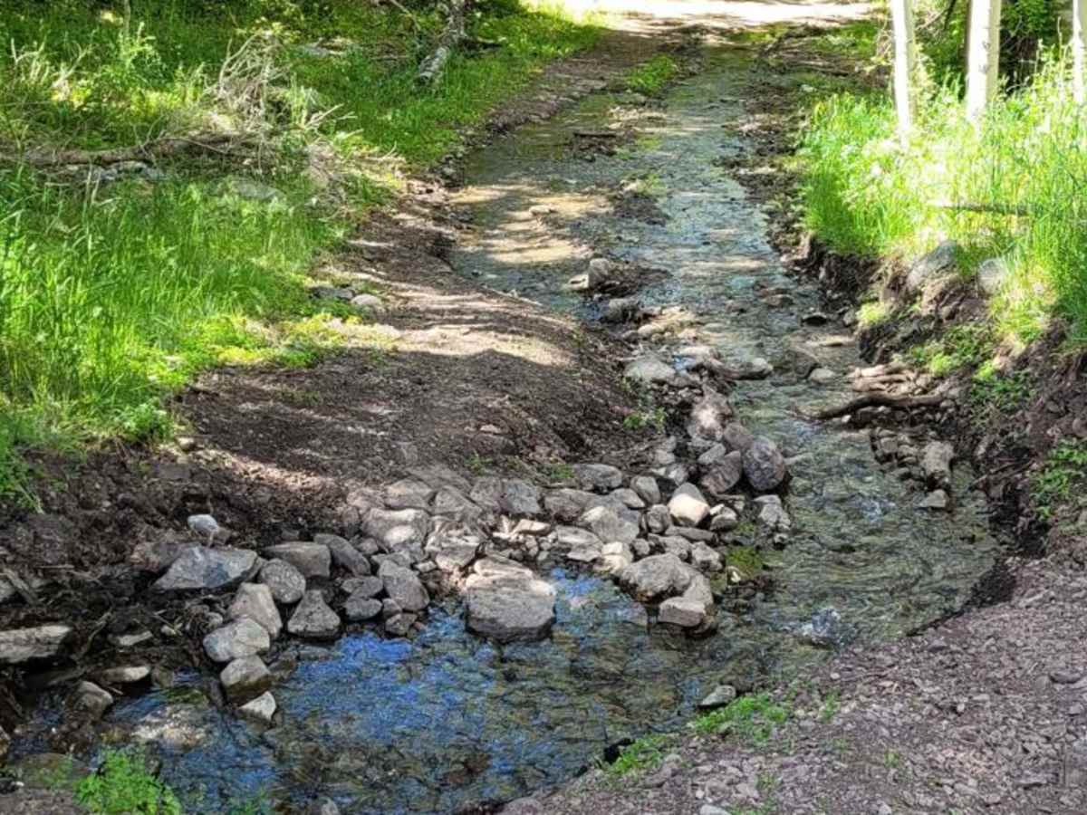 Hickman Canyon Road trail photo