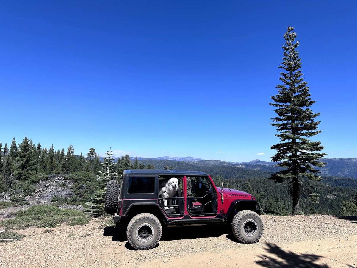 Texas Hill Road trail photo