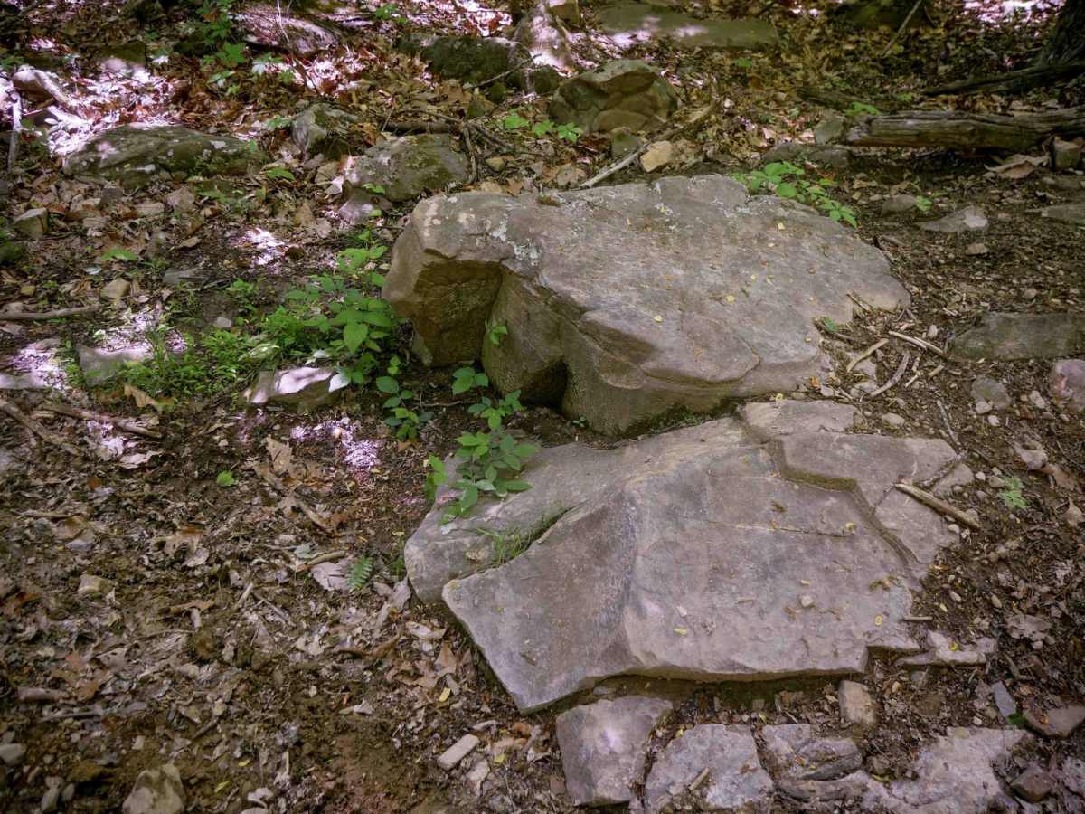 Trail 10 photo 3