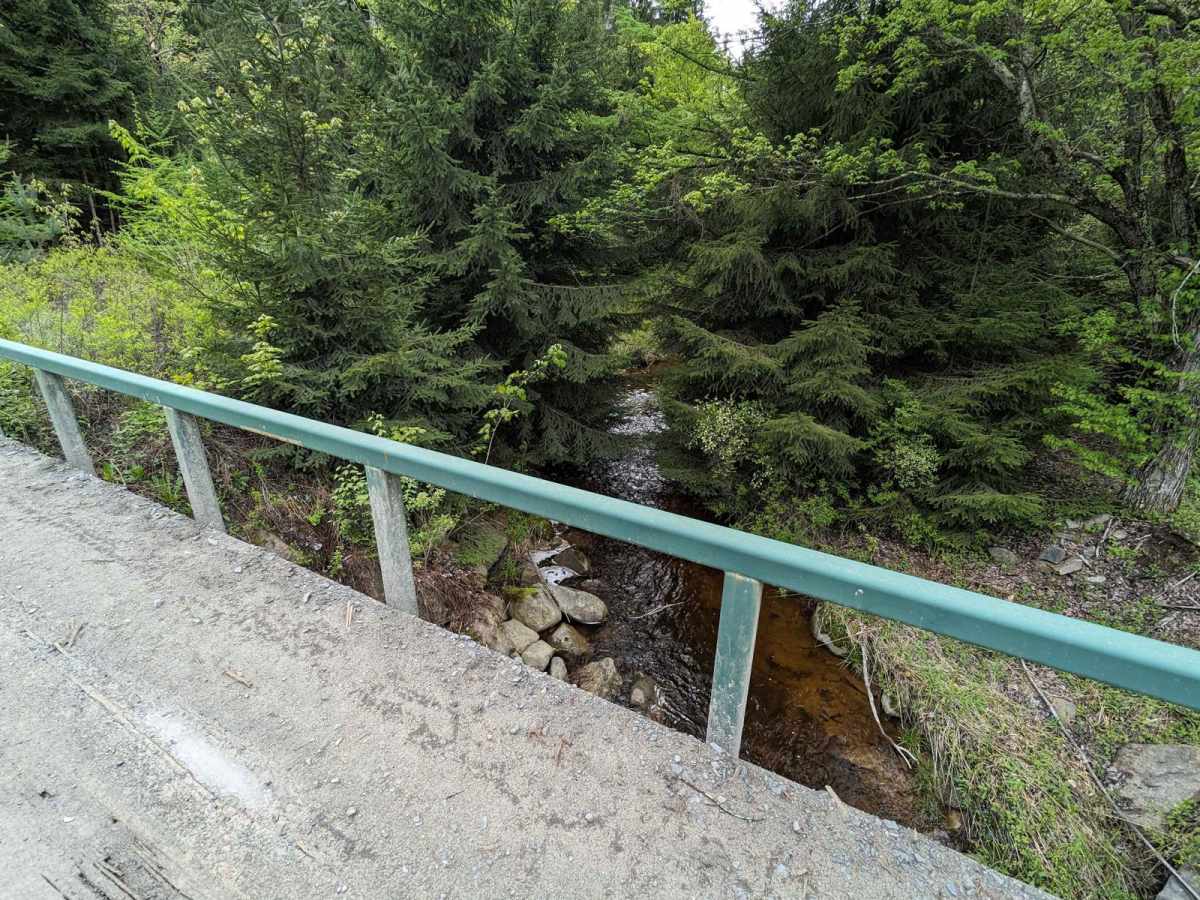 State Game Road photo 5
