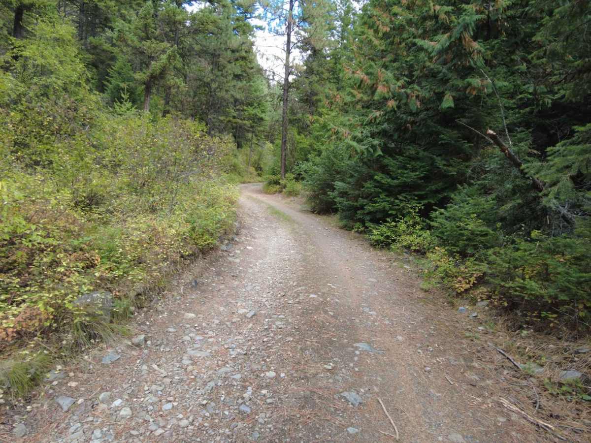 West Fork of Swamp Creek photo 6