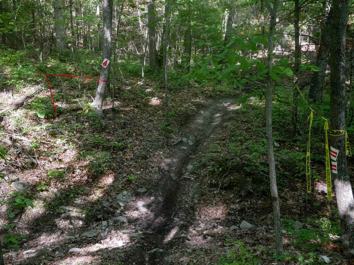 Single Track 2 photo 6