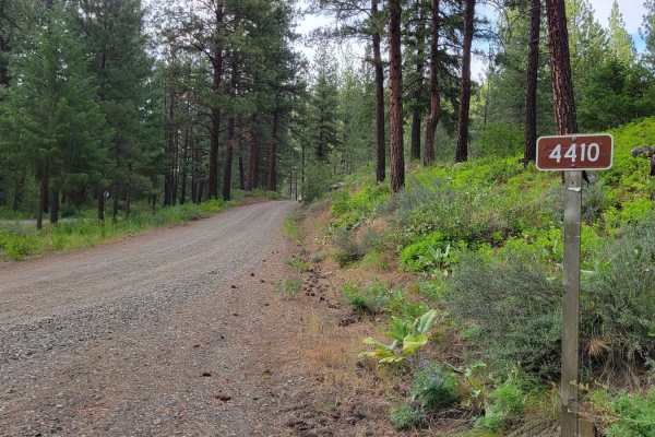 NF 4410 - Thompson Road