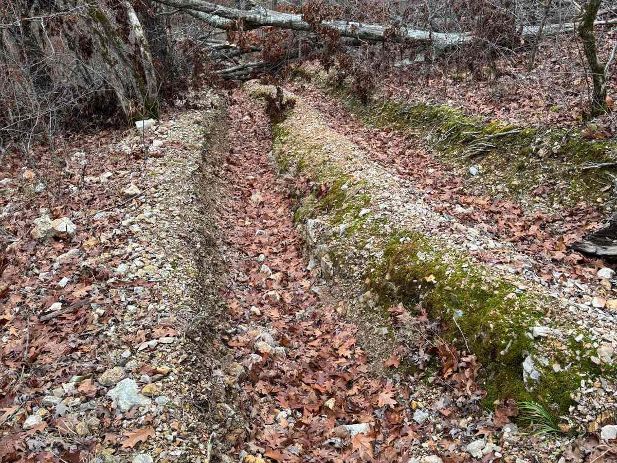 Dave's Hill 354 photo 6