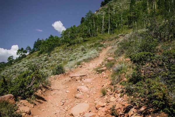 Walrod Gulch Trail
