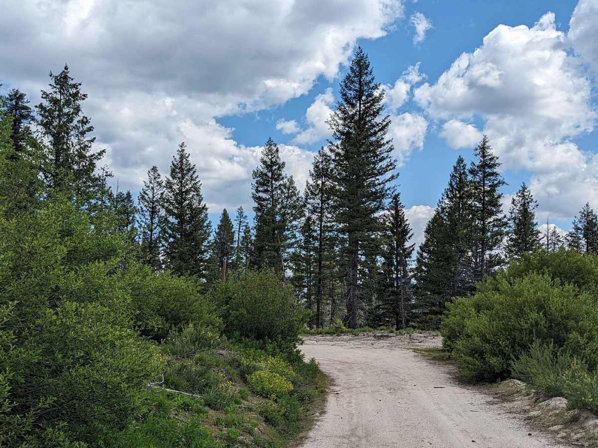 Lamar Creek Road 25M (Rocky Ridge Yurt) photo 3