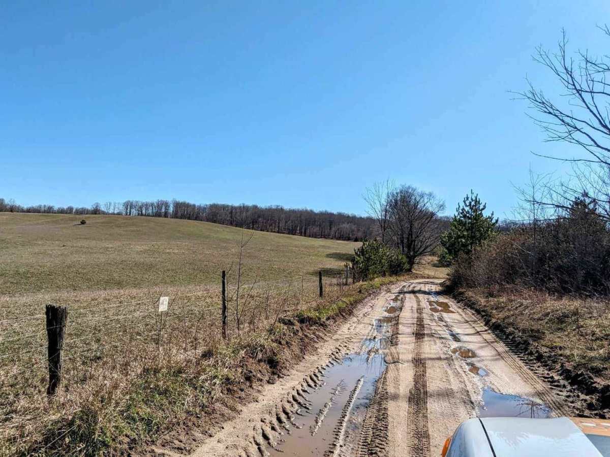Harmon Road photo 4