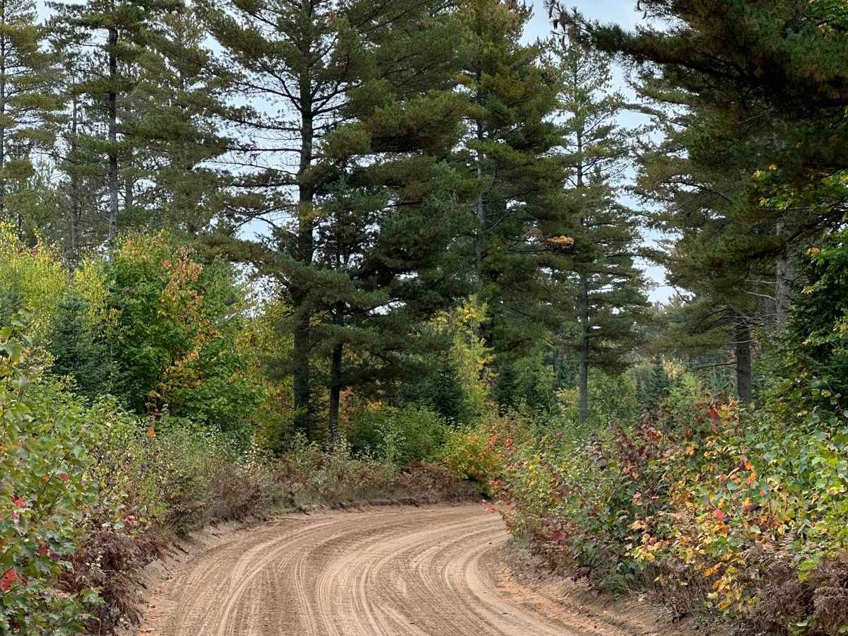 CR 412 Crisp Point Road photo 4