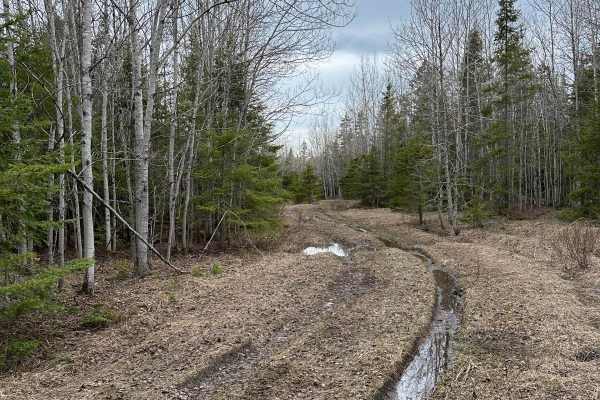 Maxton Loop
