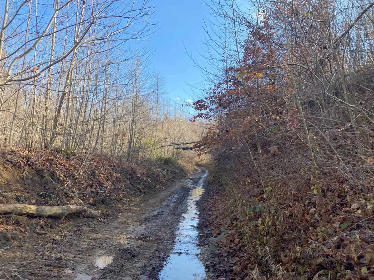 Blue Creek Road - Tar Hollow Trails trail photo