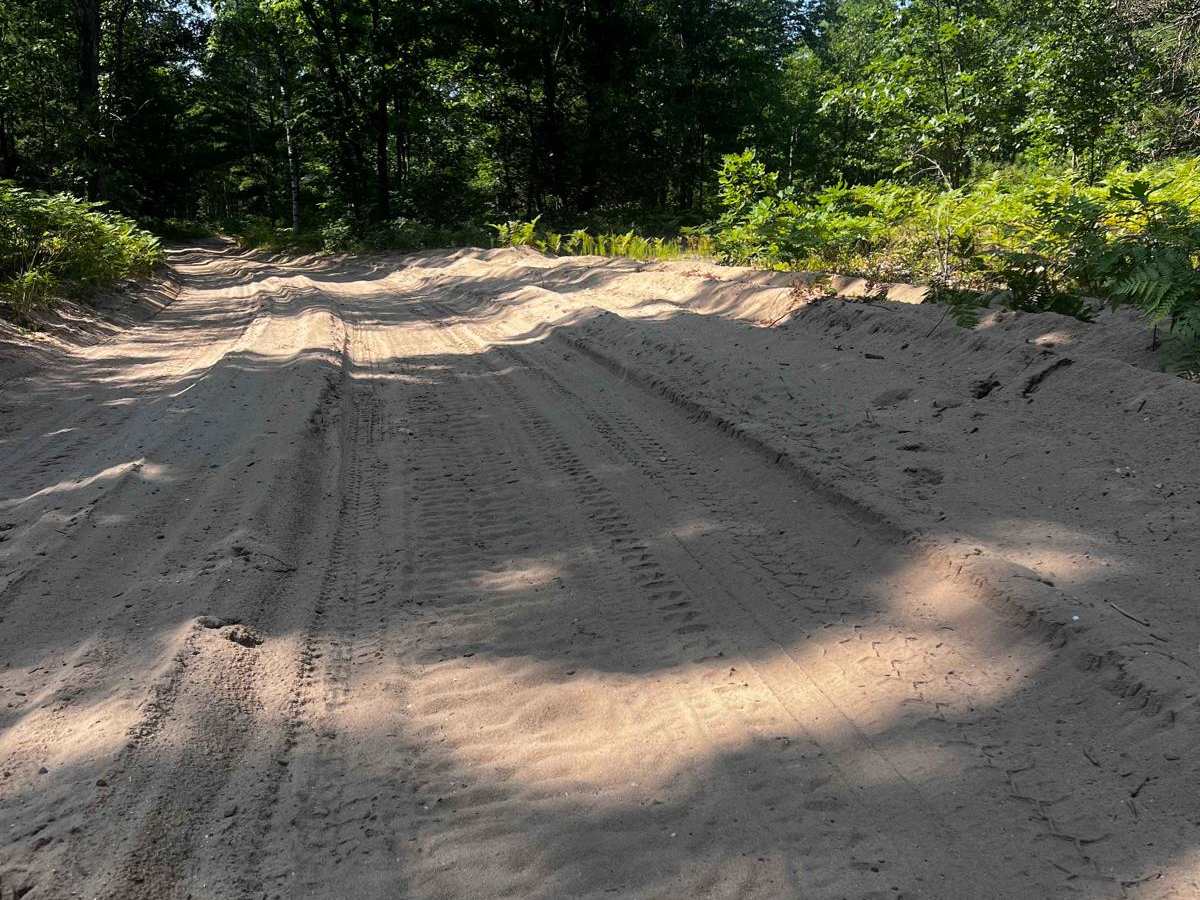 River Forest Loop Trail photo 4