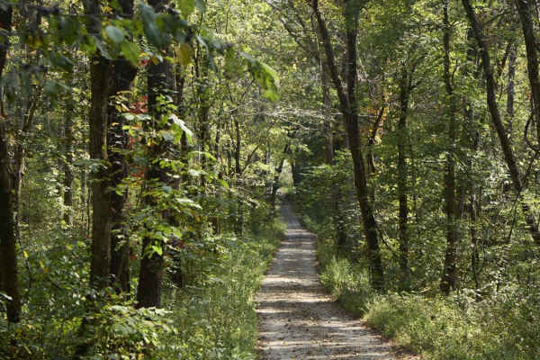 Ugly Creek - Mammoth Cave NP