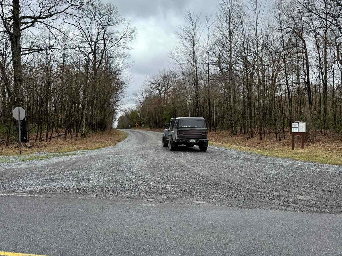 Dehaas Road trail photo