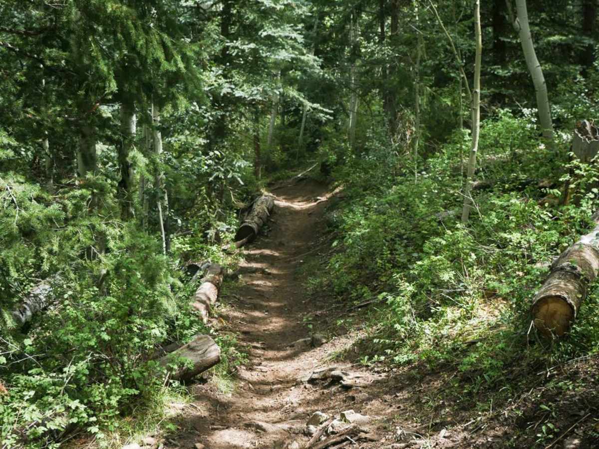 Chicken Creek Trail trail photo