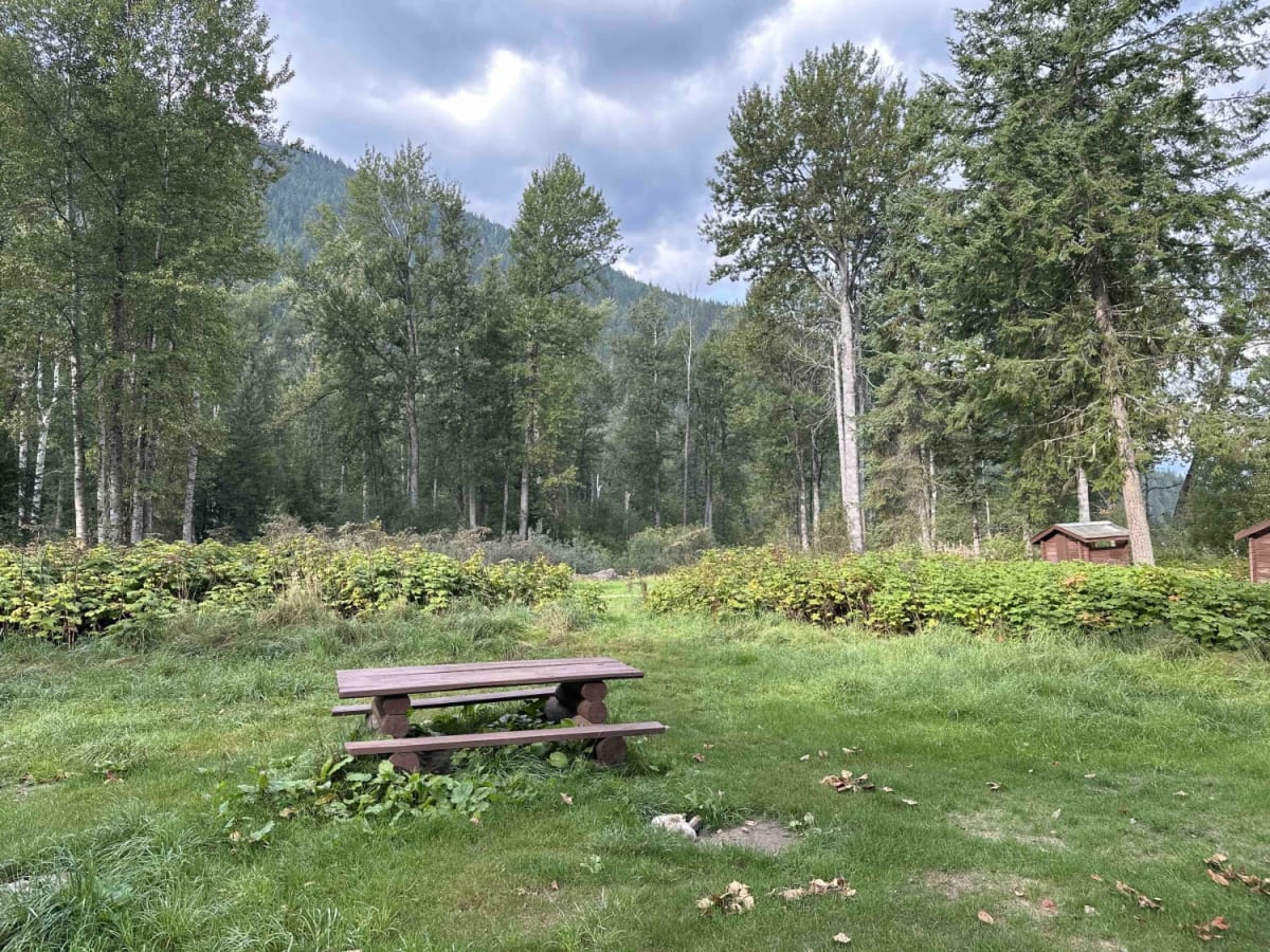 South of Trout Lake to Meadow Mountain Trail photo 6