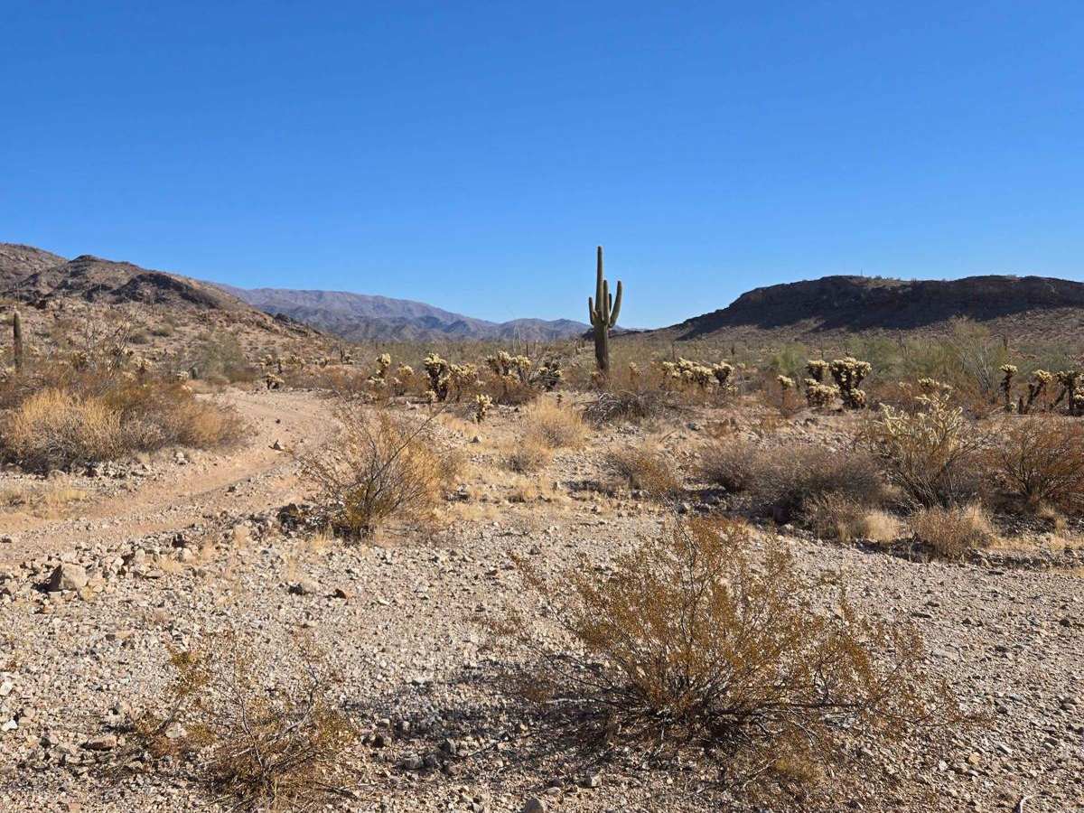 Straight Shot trail photo