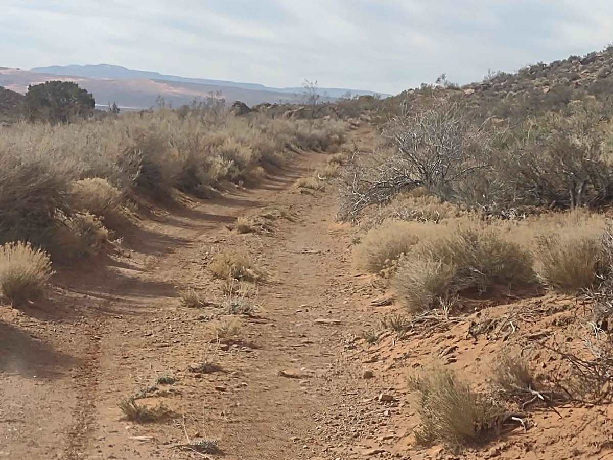 Red Cliffs Hidden Canyons View photo 5