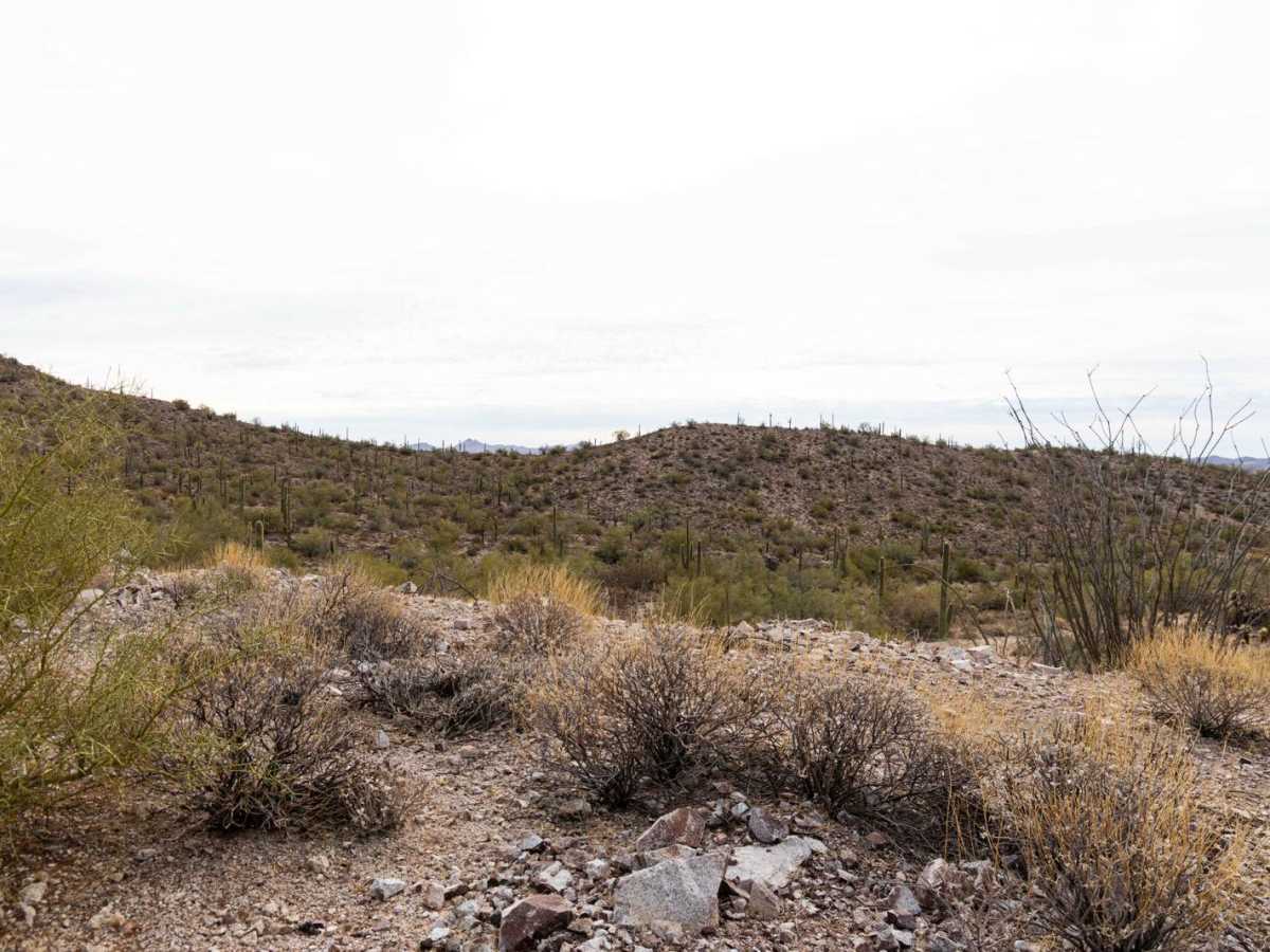 Browns Canyon and Mine Access photo 2