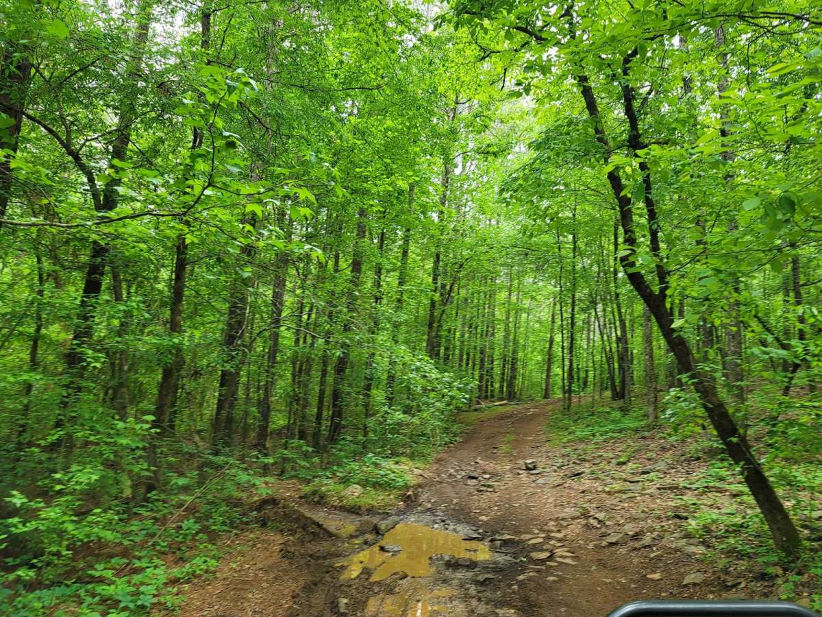 GBU Bypass trail photo