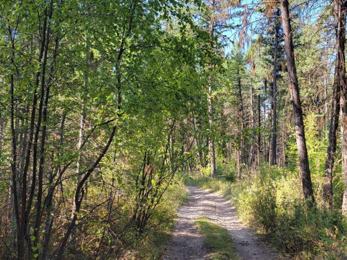 Wasa Sheep Creek Road photo 3