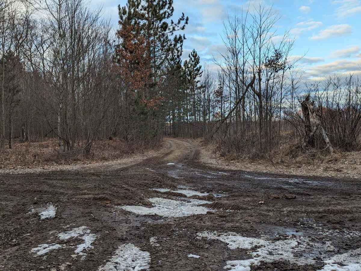 Oak Road photo 4