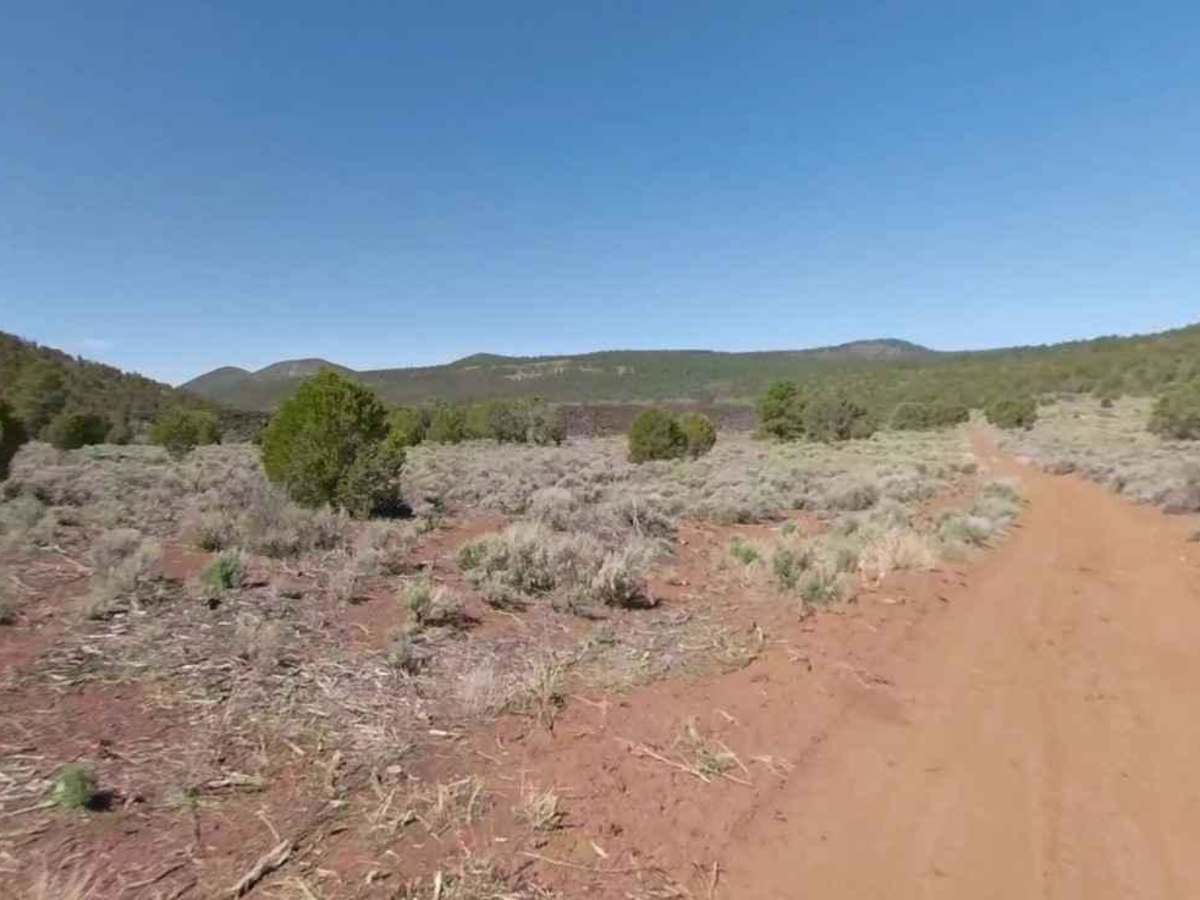Slide Mountain Road BLM 1030 photo 6