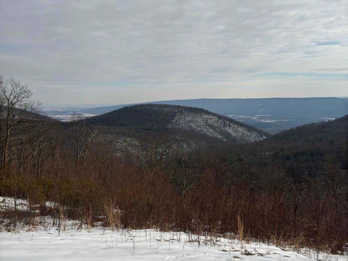 Buffalo Flat Road photo 3