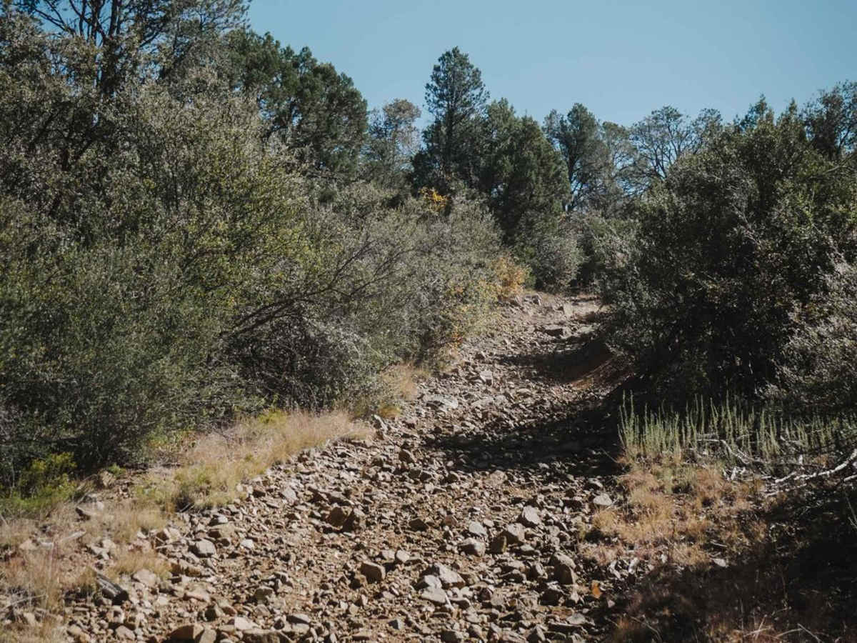 Prospectors photo 4