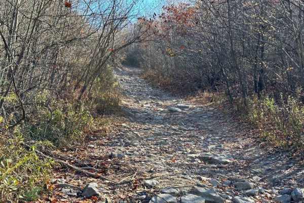ATV Trail 4