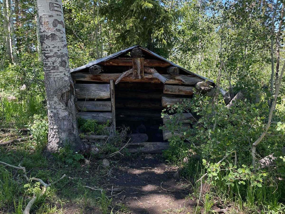 Hogs Back - FR 70094 trail photo