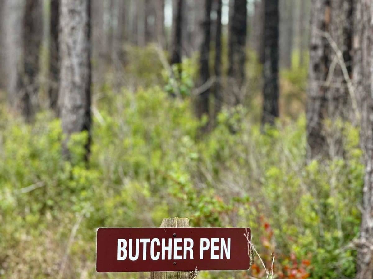 Butcher Pen Landing Road trail photo