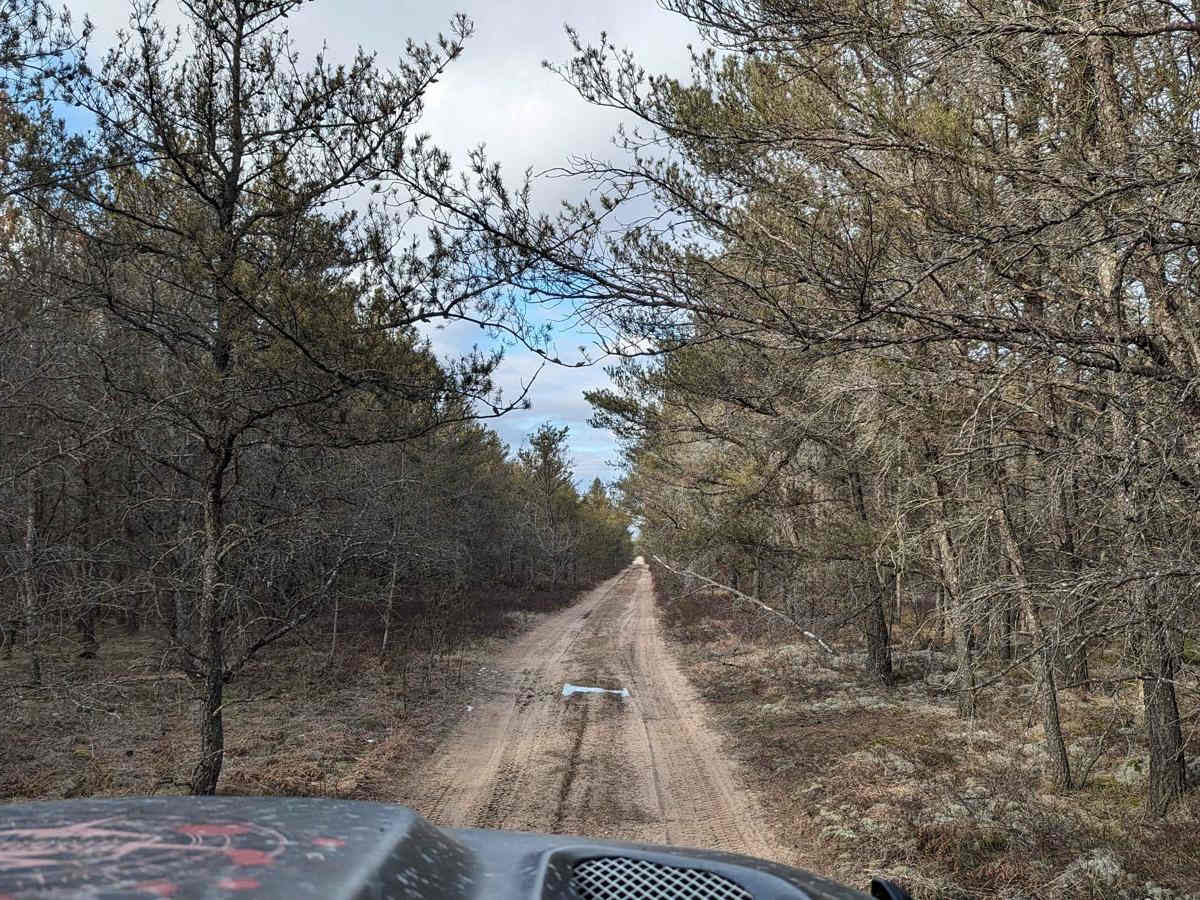 Washburn Trail photo 2