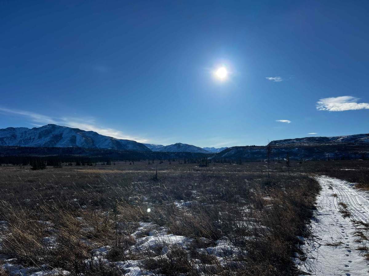 Jarvis Creek Loop photo 5