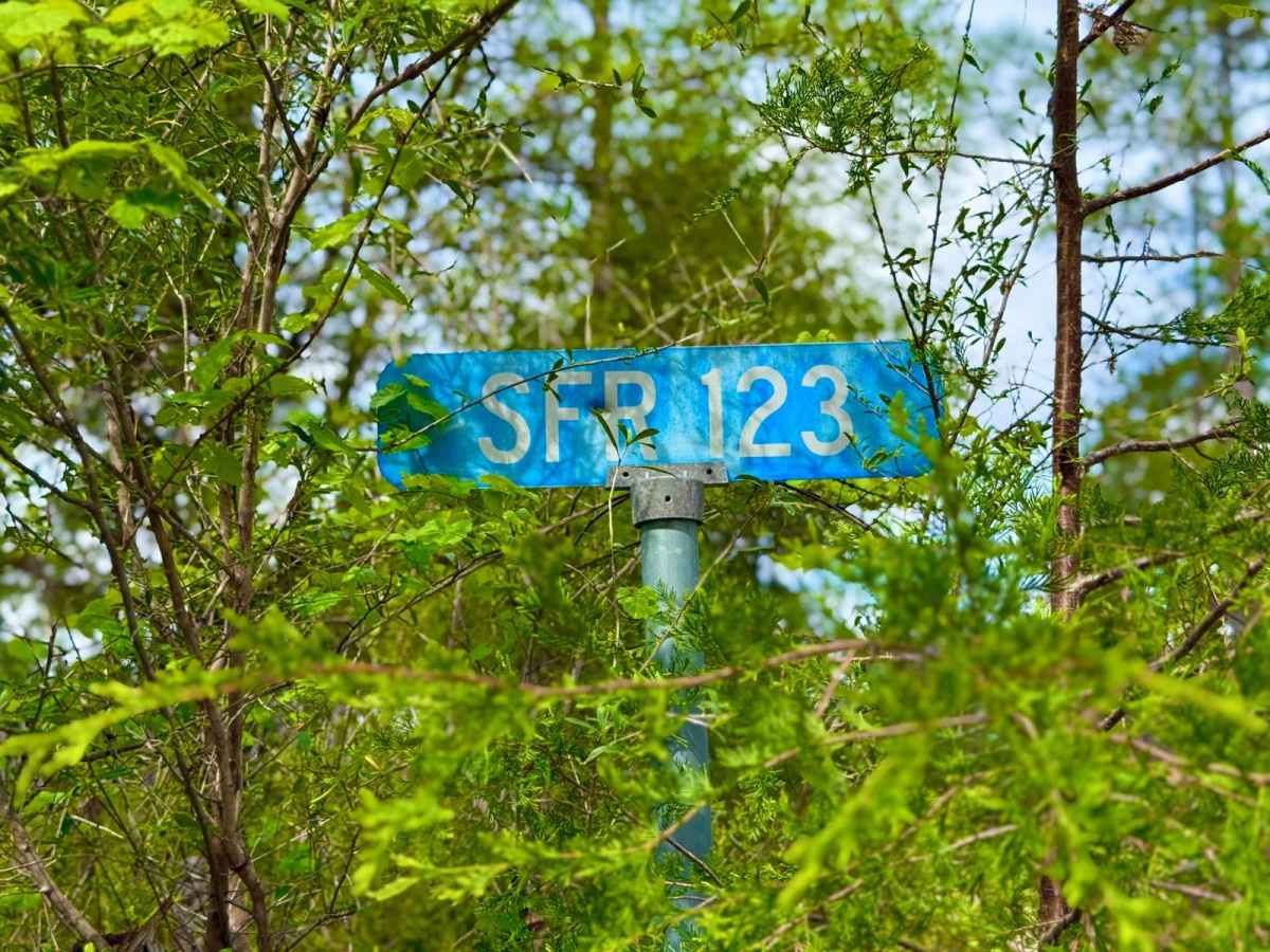 SFR 123 trail photo
