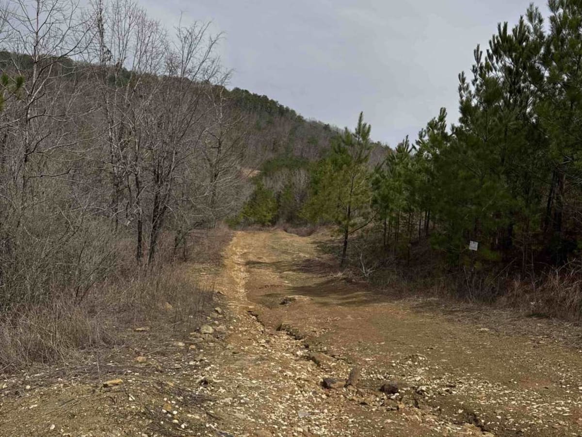 #73a Lower Ditch photo 3