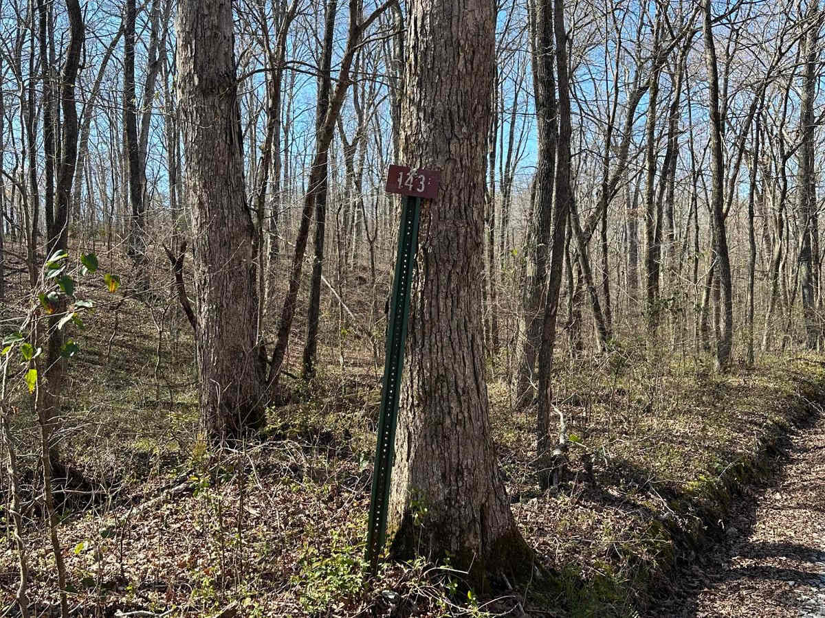 FS 143 trail photo