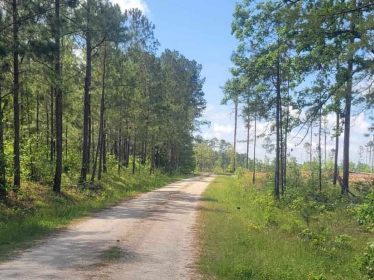 Oval Road - FSR 672 photo 5