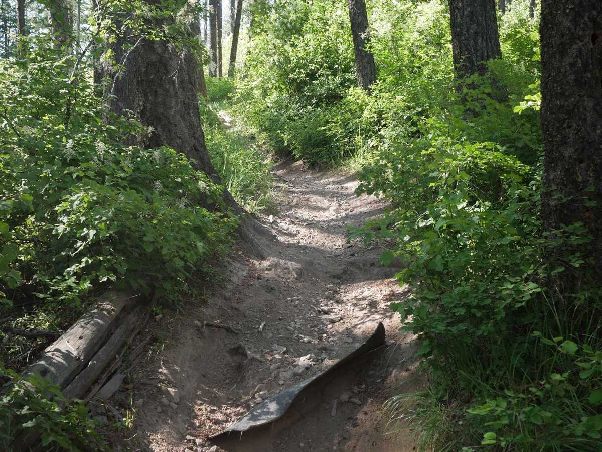 Canfield Mountain- Trail 5 photo 4