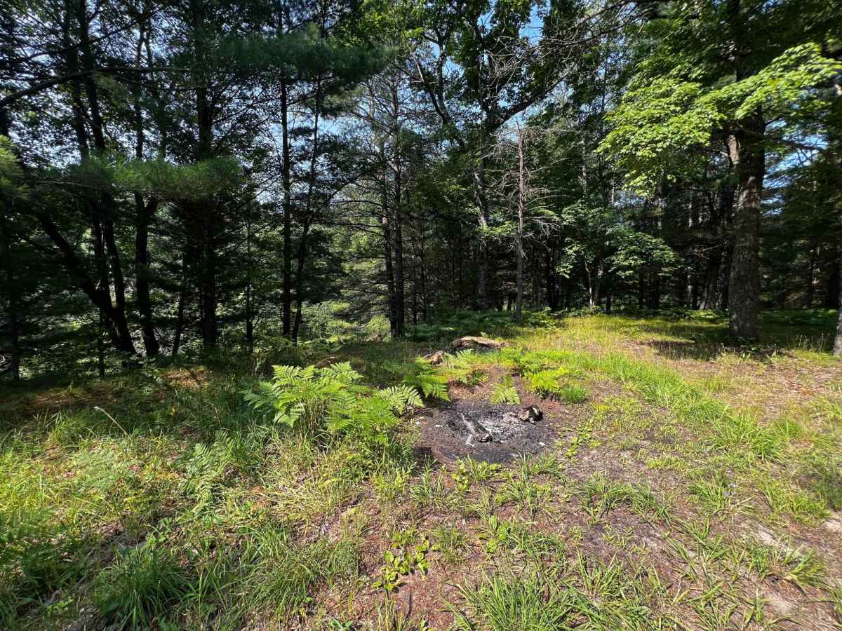Soper Creek Trail photo 6