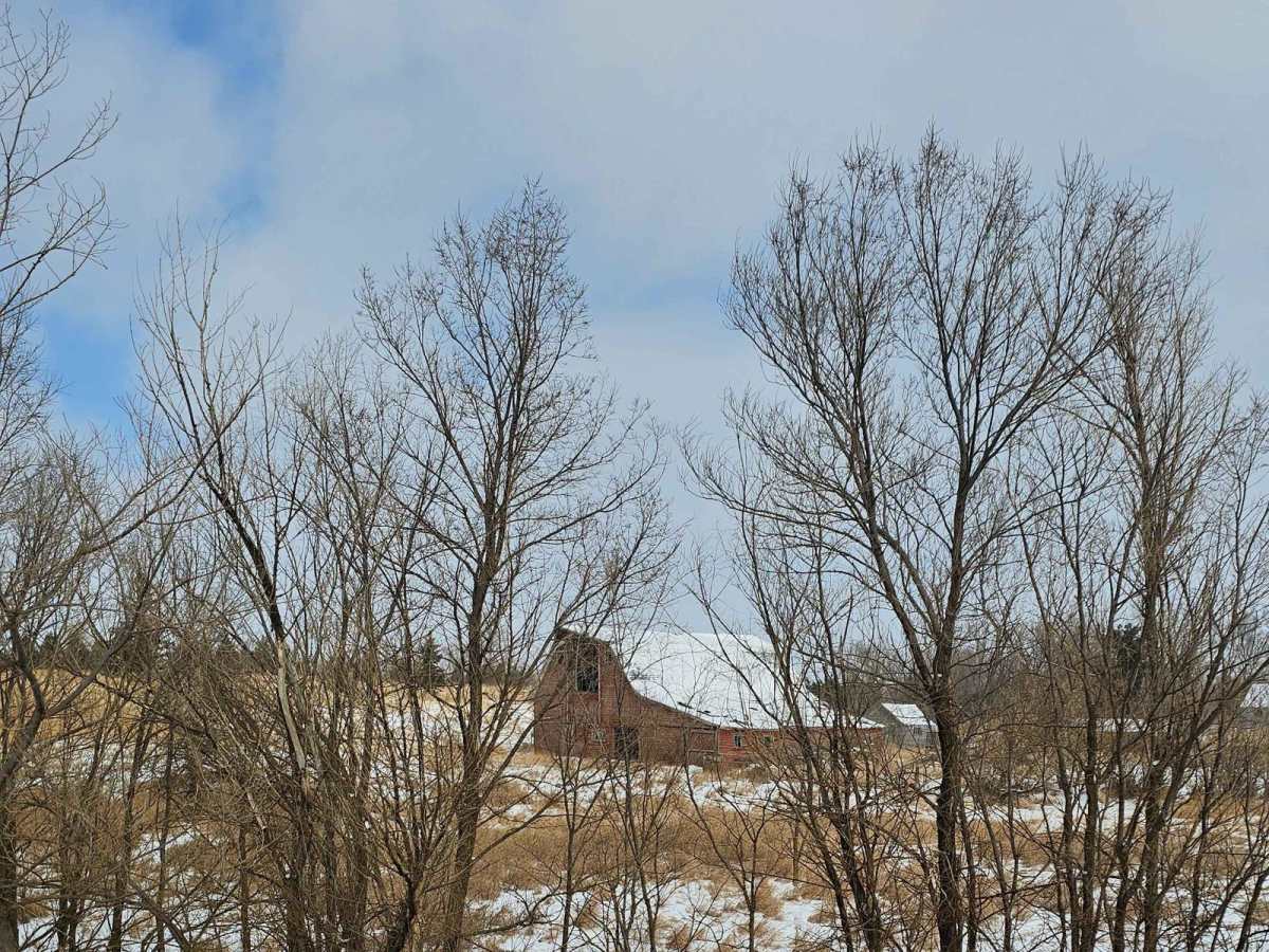Sweet Briar West photo 5